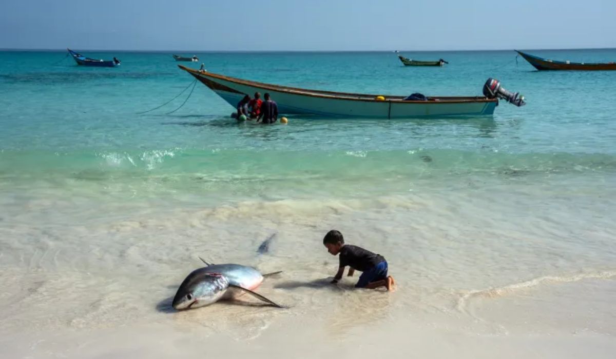 World Oceans Record Hottest June on Record